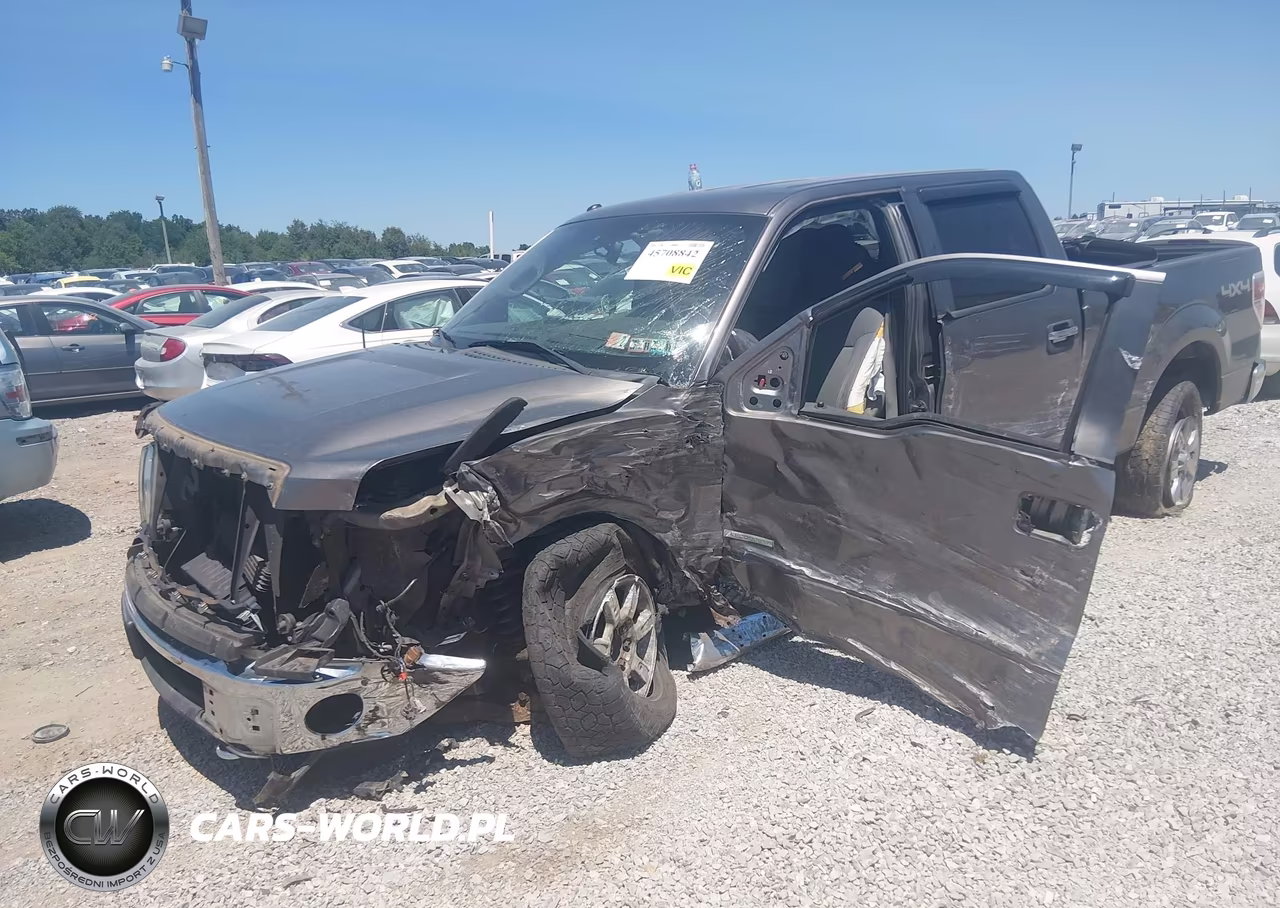 2011 Ford F-150 Xlt VIN:1FTFW1ET1BFB20049 - 2