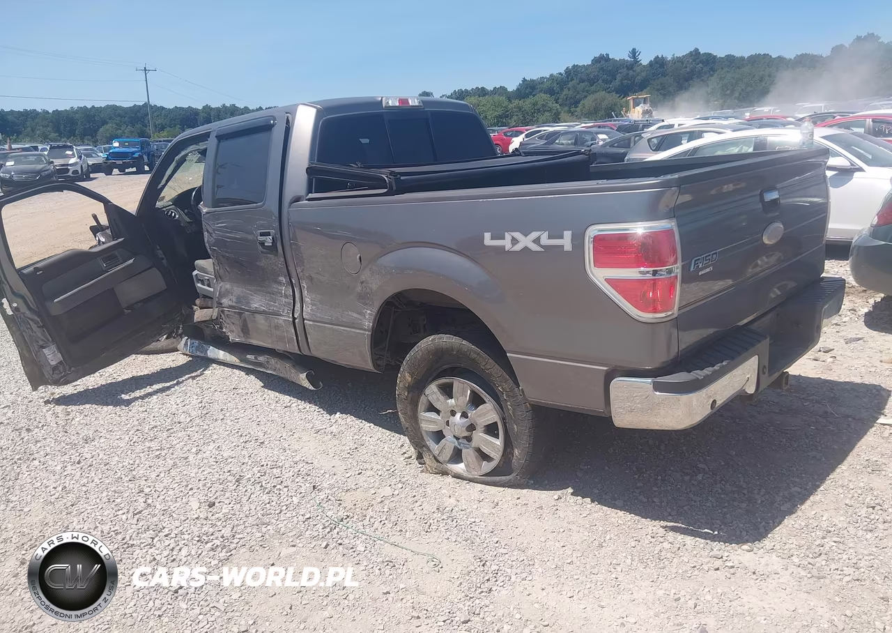2011 Ford F-150 Xlt VIN:1FTFW1ET1BFB20049 - 3