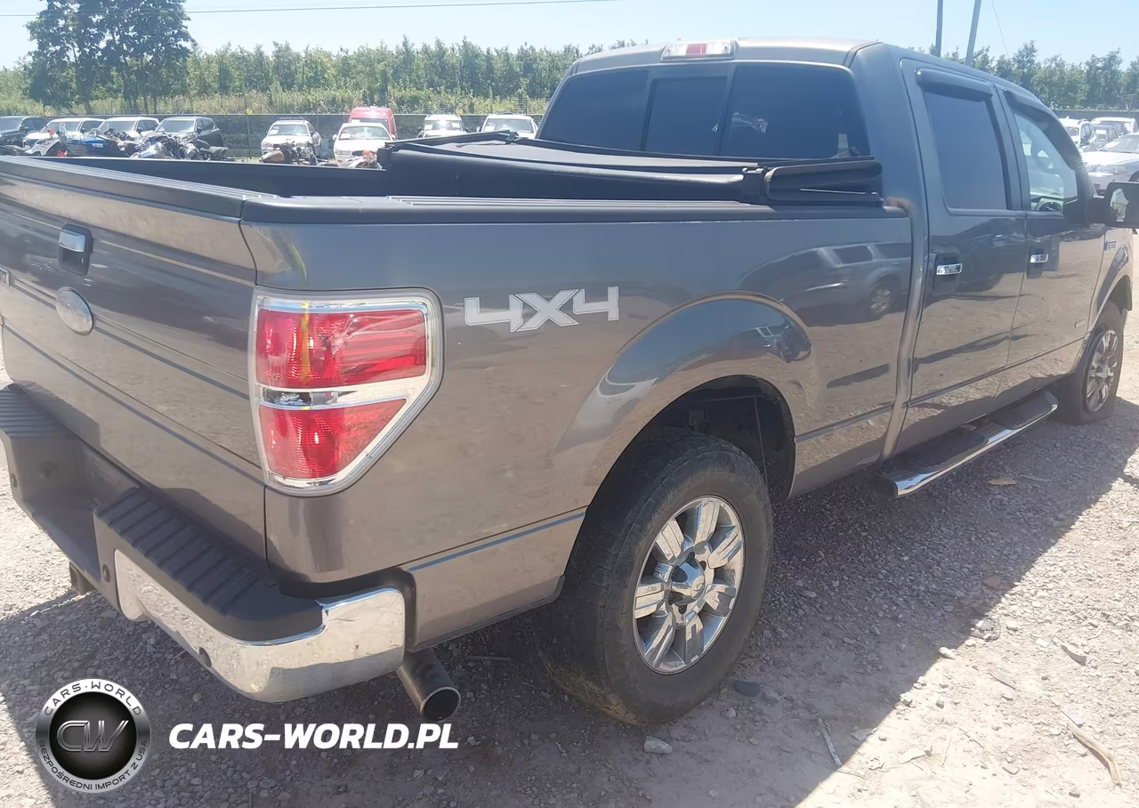2011 Ford F-150 Xlt VIN:1FTFW1ET1BFB20049 - 4