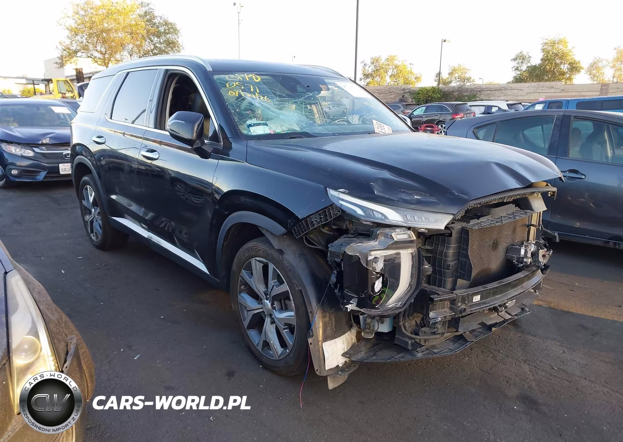 2020 Hyundai Palisade Sel VIN:KM8R44HE0LU120571 - 1