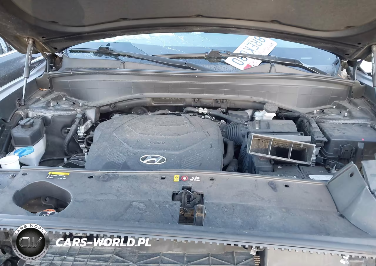 2020 Hyundai Palisade Sel VIN:KM8R44HE0LU120571 - 10
