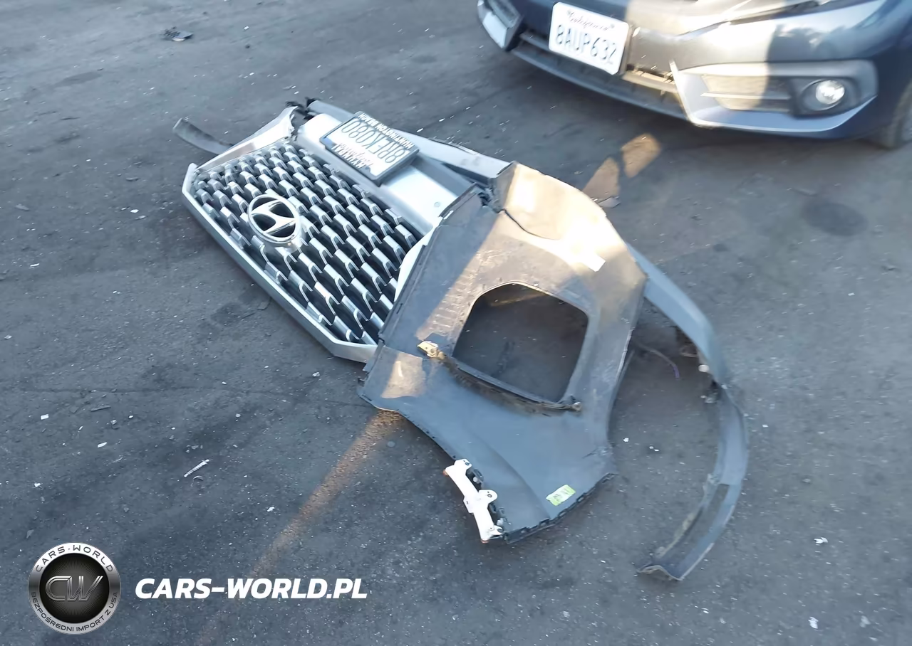 2020 Hyundai Palisade Sel VIN:KM8R44HE0LU120571 - 12