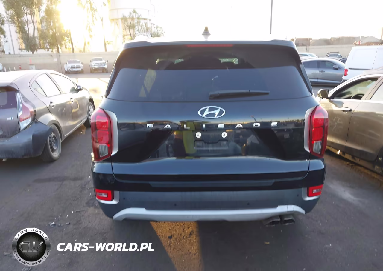 2020 Hyundai Palisade Sel VIN:KM8R44HE0LU120571 - 17