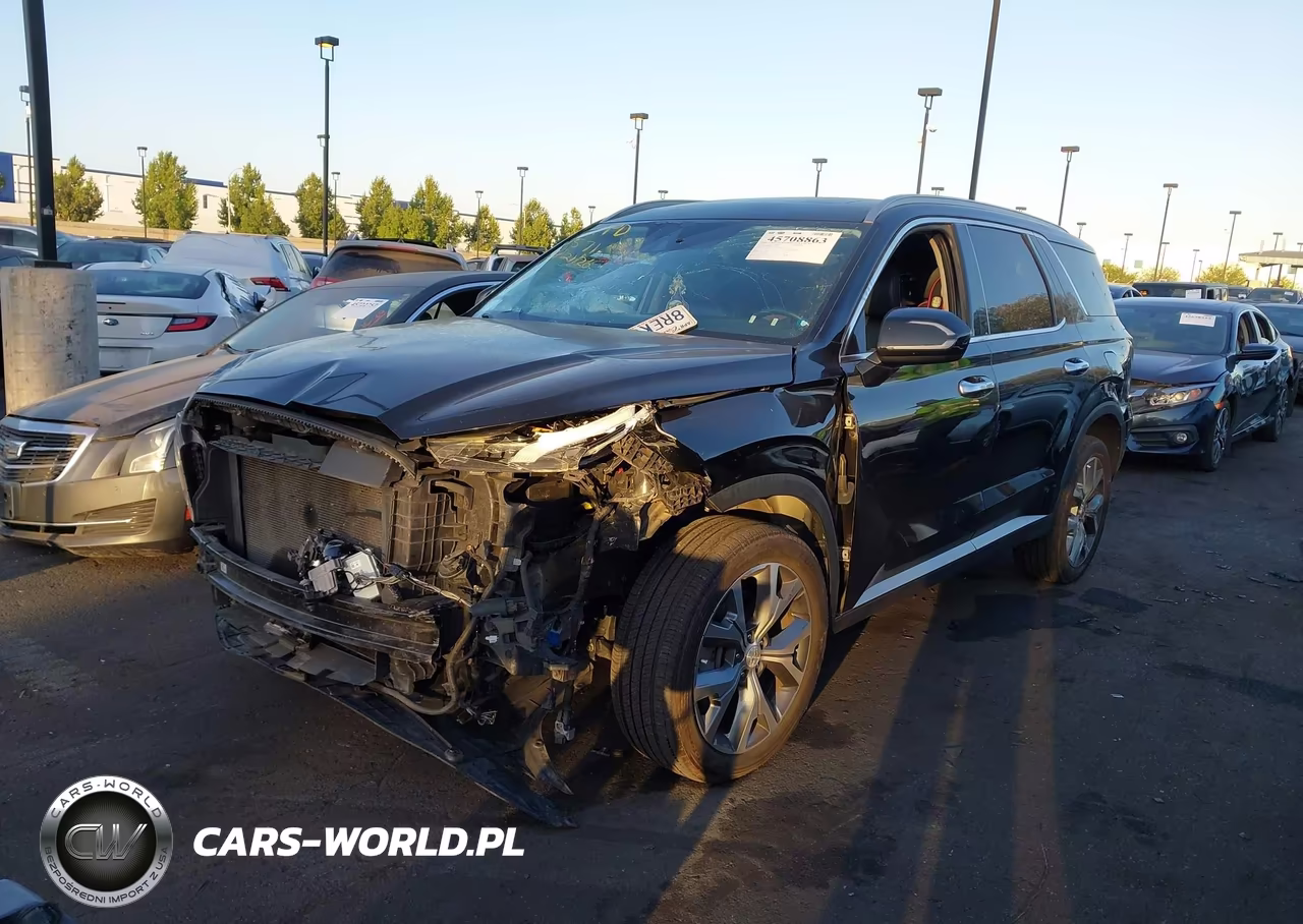 2020 Hyundai Palisade Sel VIN:KM8R44HE0LU120571 - 2