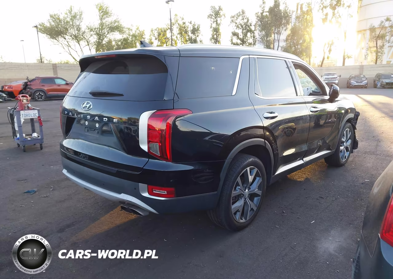 2020 Hyundai Palisade Sel VIN:KM8R44HE0LU120571 - 4