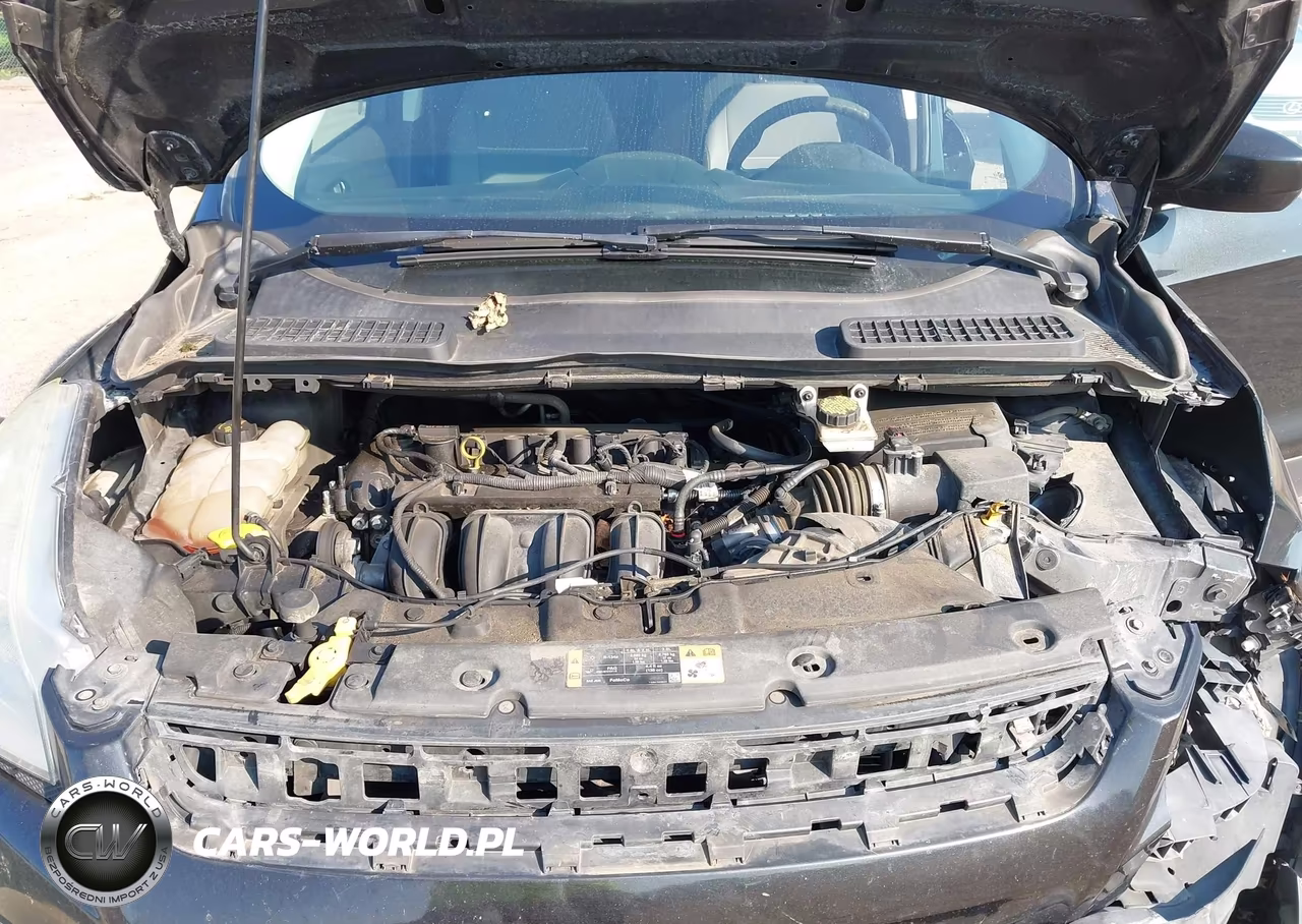 2015 Ford Escape Se VIN:1FMCU0G78FUA18943 - 10