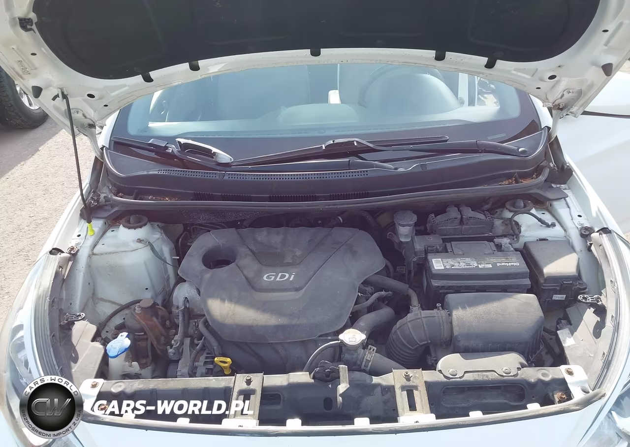 2016 Hyundai Accent Se VIN:KMHCT4AE0GU120062 - 10