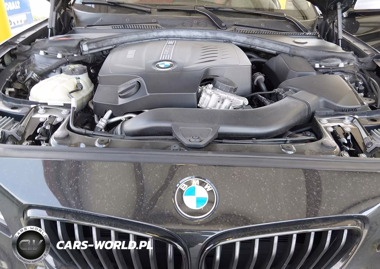 2015 BMW M235 xDrive VIN:WBA1J9C53FV371062 - 10