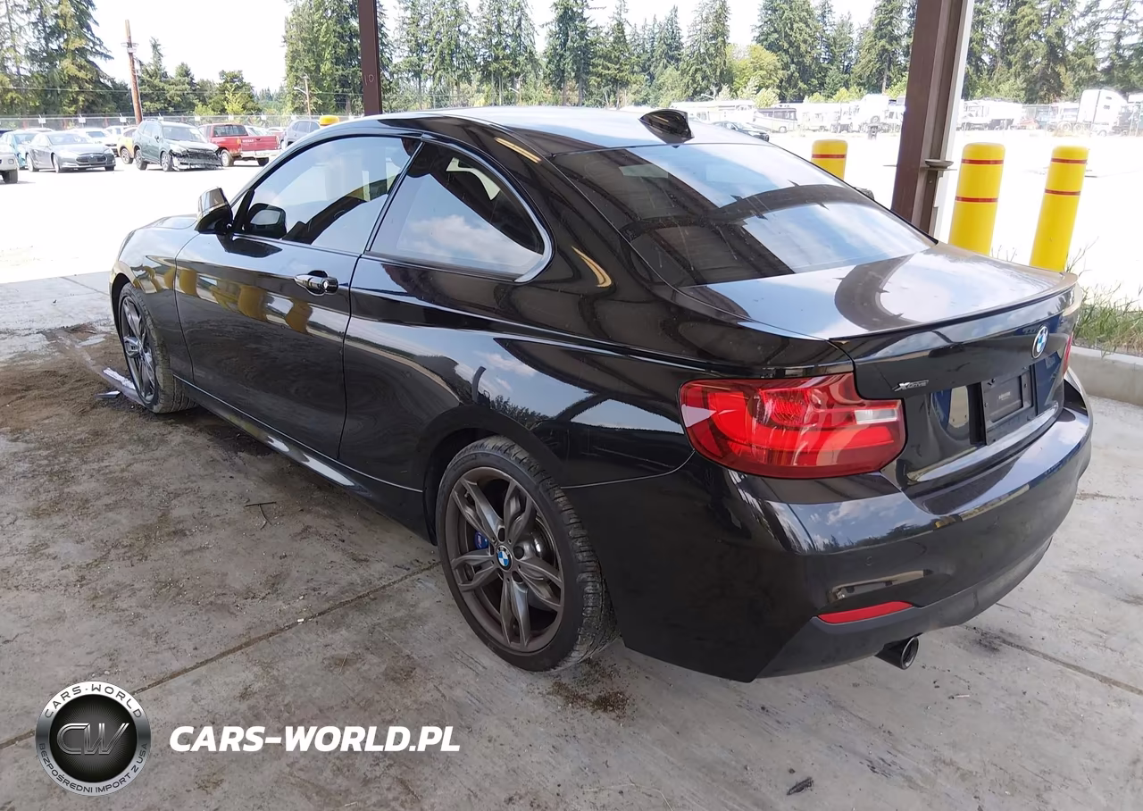 2015 BMW M235 xDrive VIN:WBA1J9C53FV371062 - 3