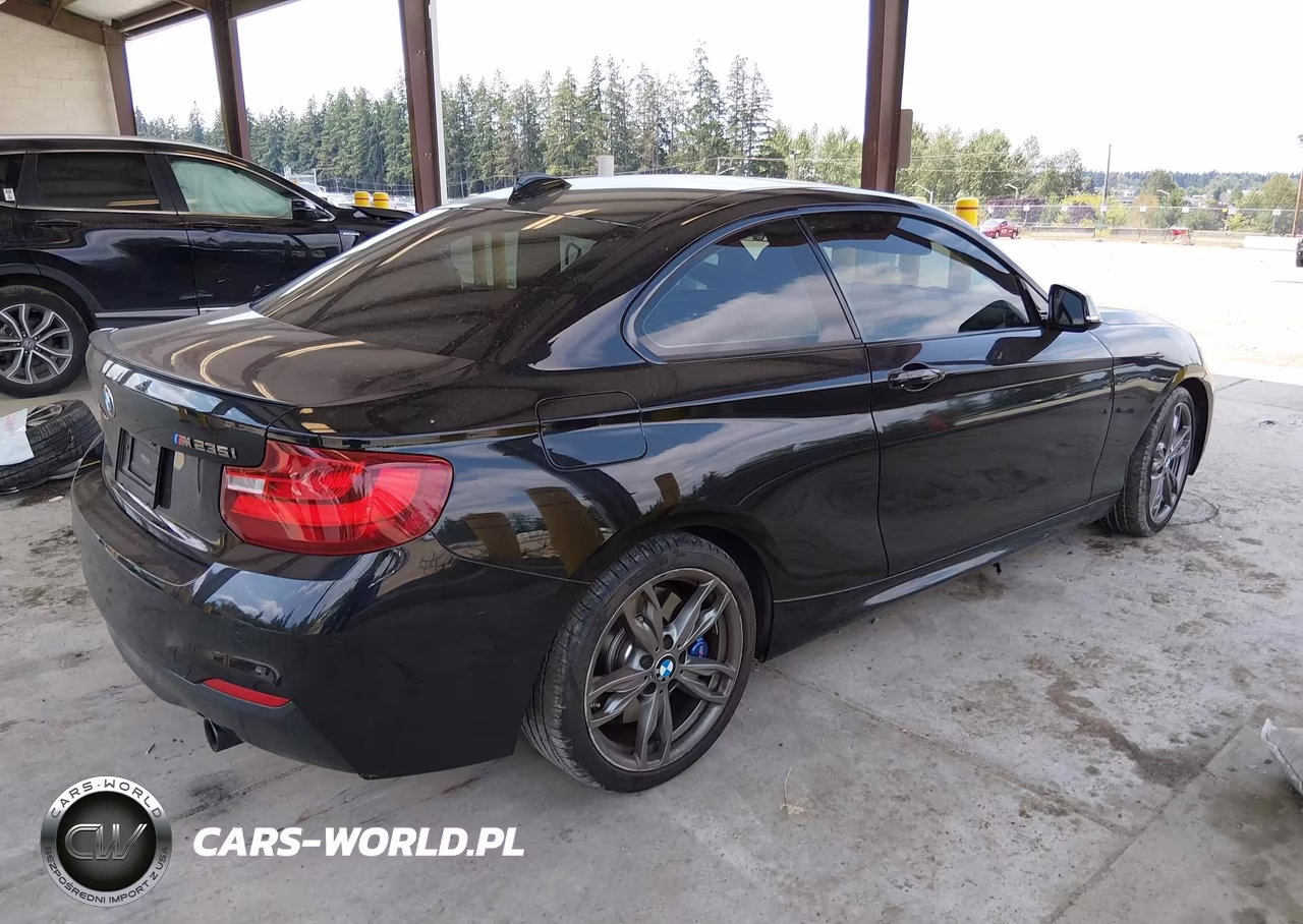2015 BMW M235 xDrive VIN:WBA1J9C53FV371062 - 4