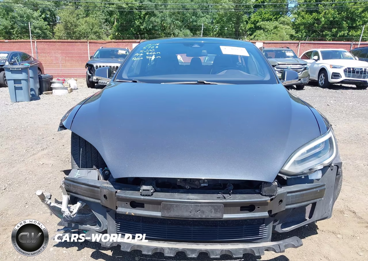 2016 Tesla Model S 60D-70D-75D-85D-90D VIN:5YJSA1E26GF160756 - 12