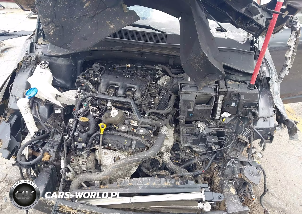 2020 Kia Sorento 3.3L Ex VIN:5XYPH4A59LG670945 - 10