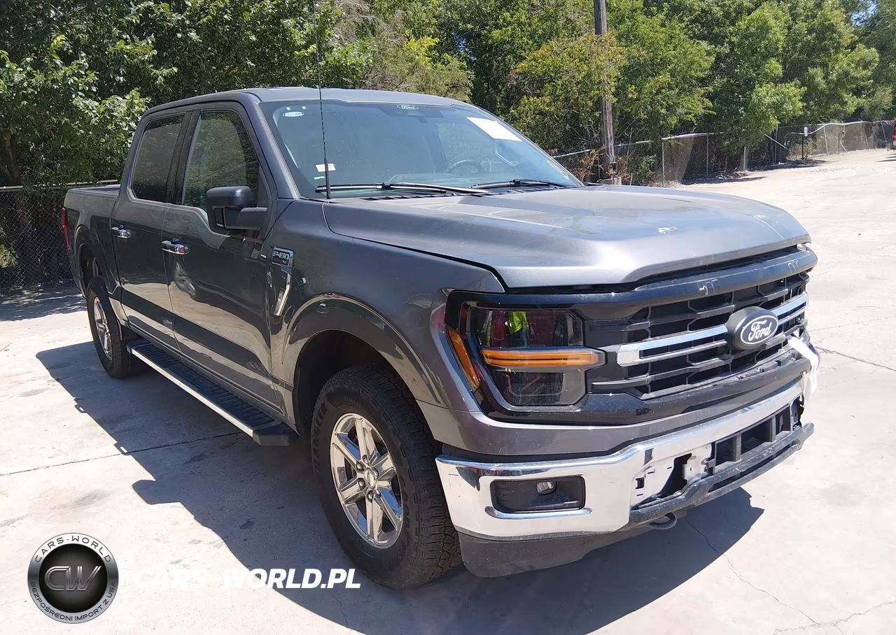2025 Ford F-150 Xlt – zdjęcie 1 z 19