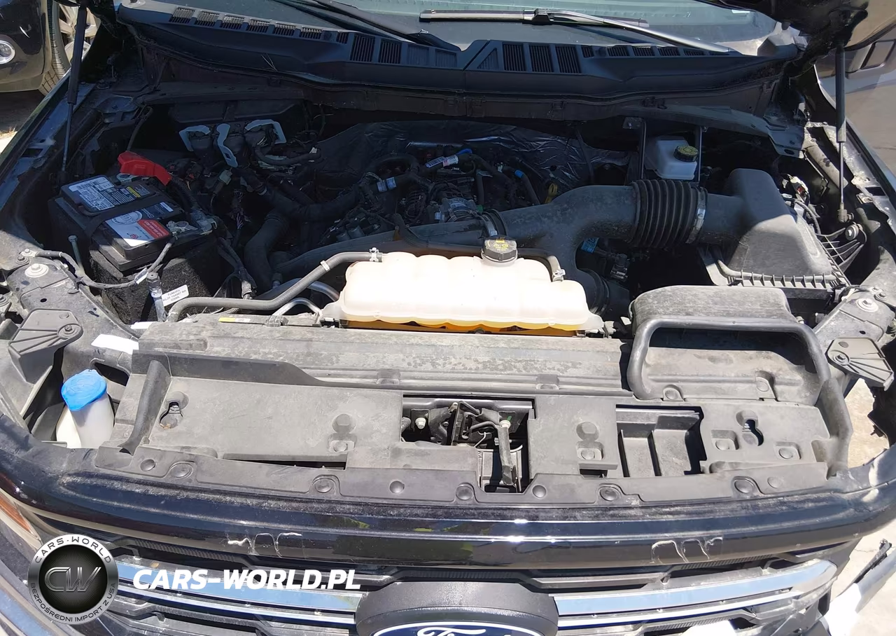 2025 Ford F-150 Xlt VIN:1FTEW3LP9SKE08146 - 10