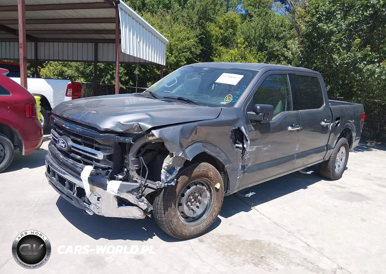 2025 Ford F-150 Xlt VIN:1FTEW3LP9SKE08146 - 2