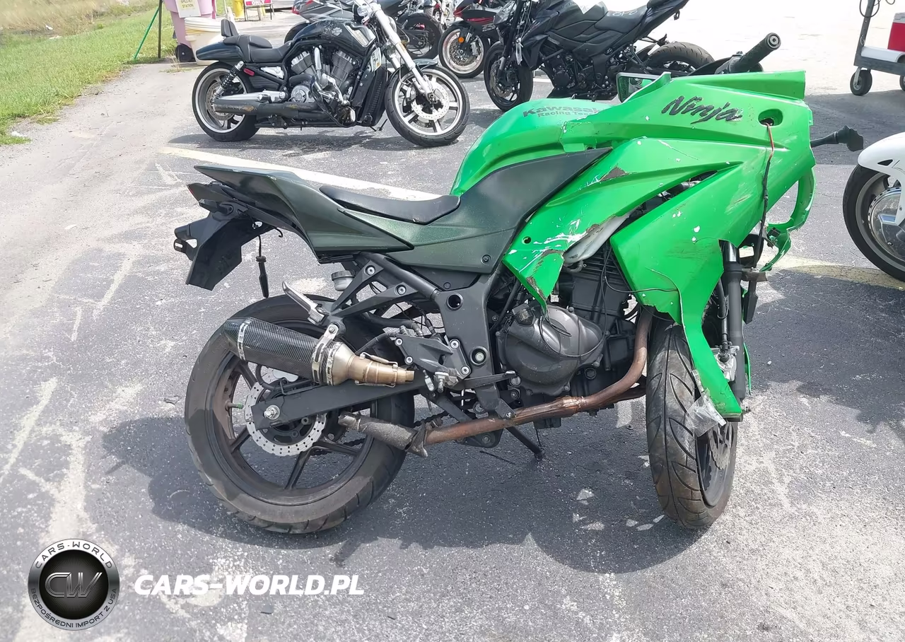 2009 Kawasaki Ex250 J VIN:JKAEXMJ129DA32466 - 12
