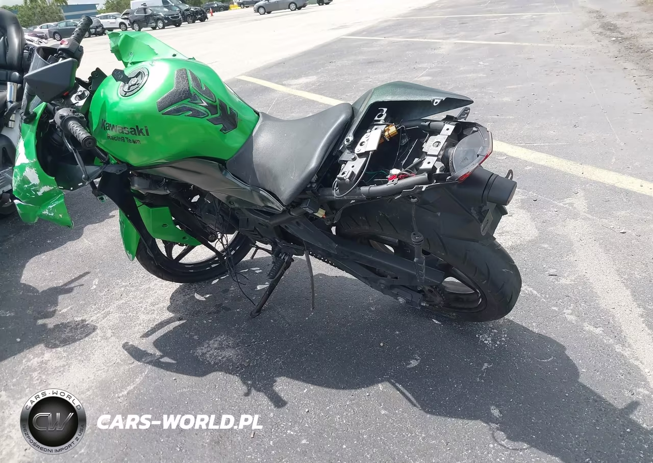 2009 Kawasaki Ex250 J VIN:JKAEXMJ129DA32466 - 3