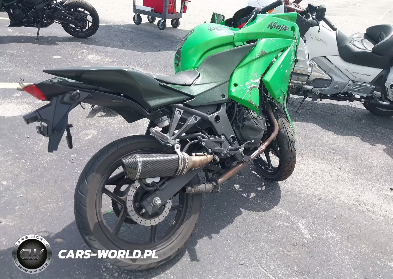 2009 Kawasaki Ex250 J VIN:JKAEXMJ129DA32466 - 4