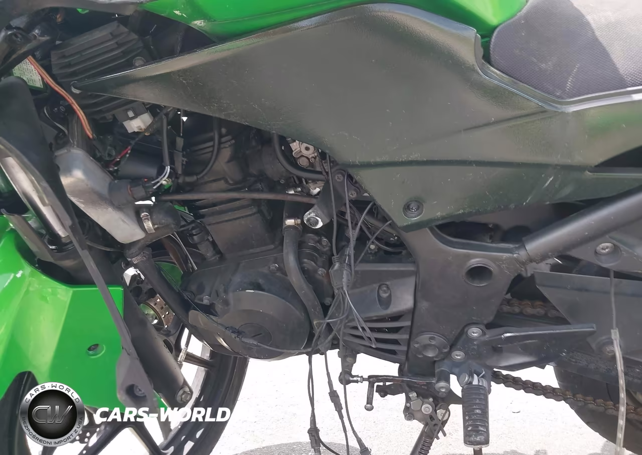 2009 Kawasaki Ex250 J VIN:JKAEXMJ129DA32466 - 9