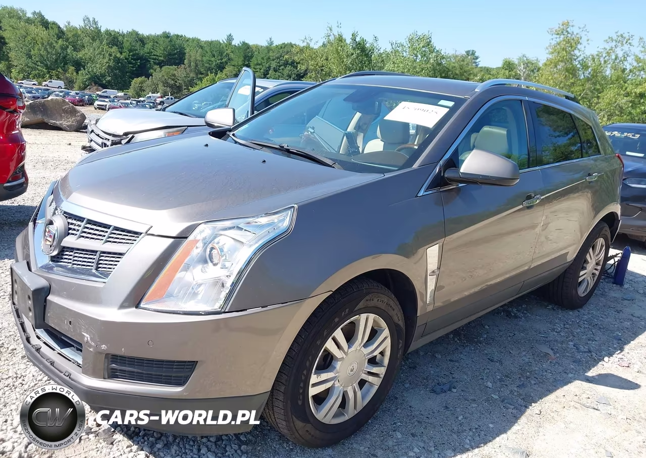 2011 Cadillac Srx Luxury Collection VIN:3GYFNDEY3BS630845 - 2