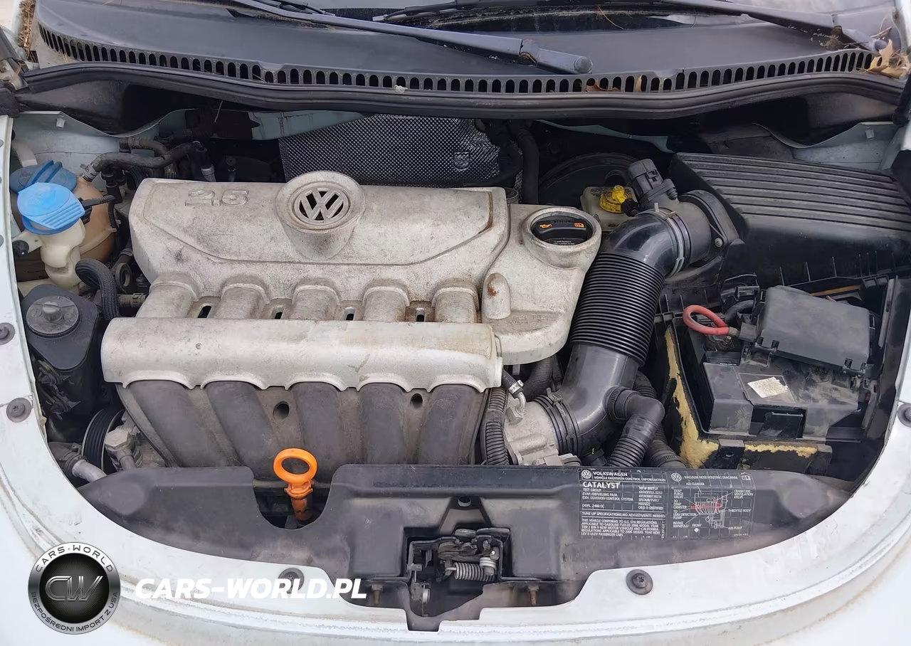 2006 Volkswagen New Beetle 2.5 VIN:3VWPF31Y86M333410 - 10