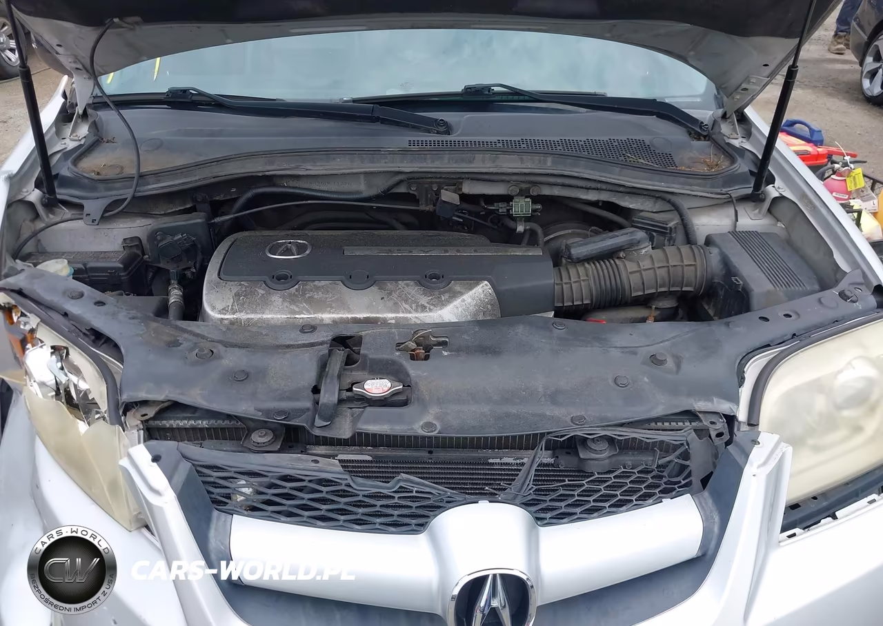 2006 Acura Mdx VIN:2HNYD18996H511320 - 10