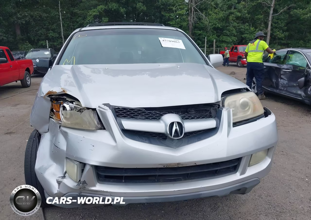 2006 Acura Mdx VIN:2HNYD18996H511320 - 12