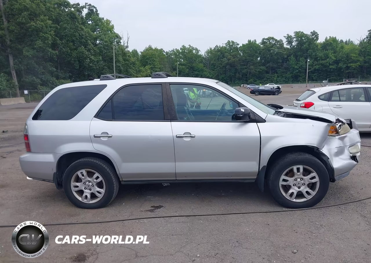 2006 Acura Mdx VIN:2HNYD18996H511320 - 13