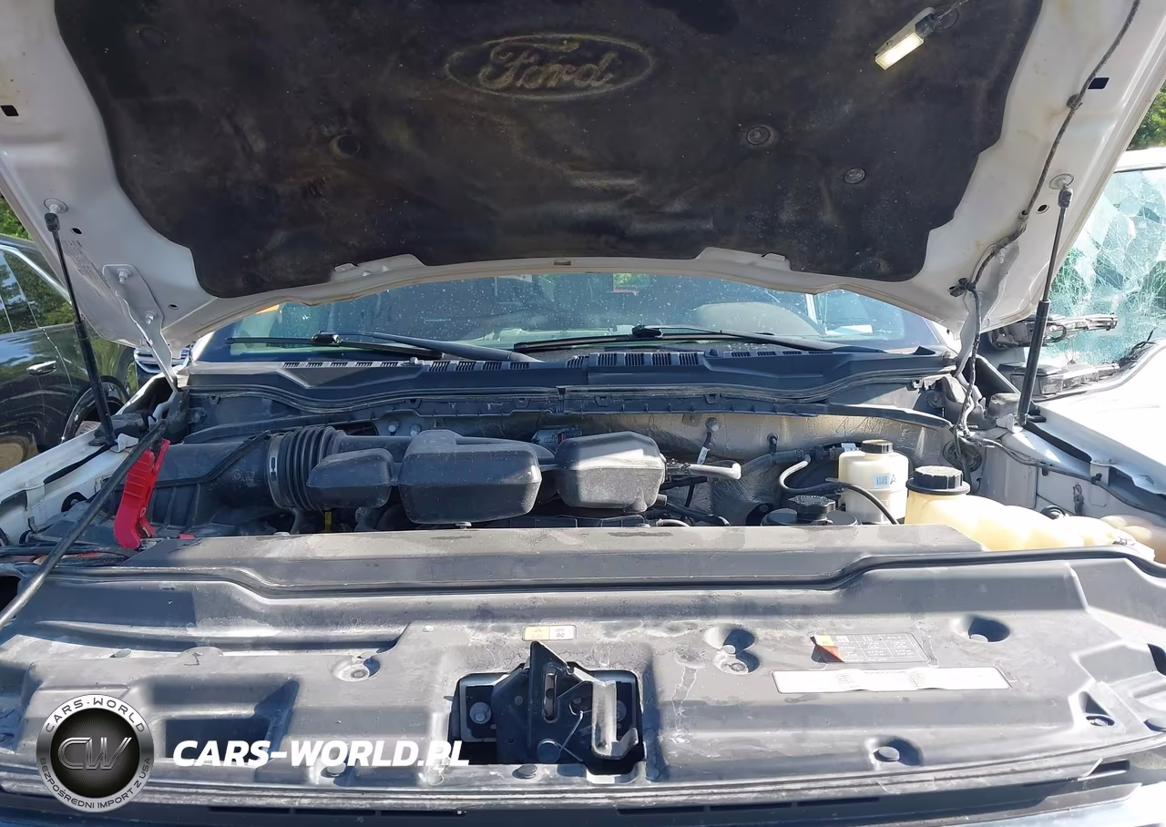 2018 Ford F-250 Platinum VIN:1FT7W2B63JEB63157 - 10