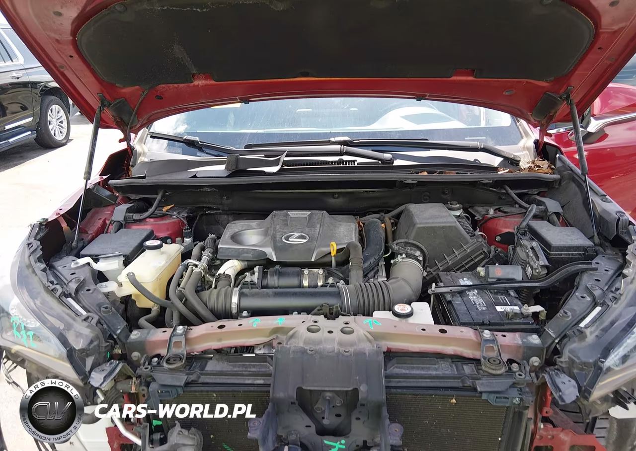 2020 Lexus Nx 300 VIN:JTJDARBZ5L2175719 - 10
