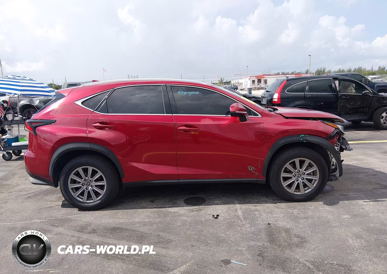 2020 Lexus Nx 300 VIN:JTJDARBZ5L2175719 - 13
