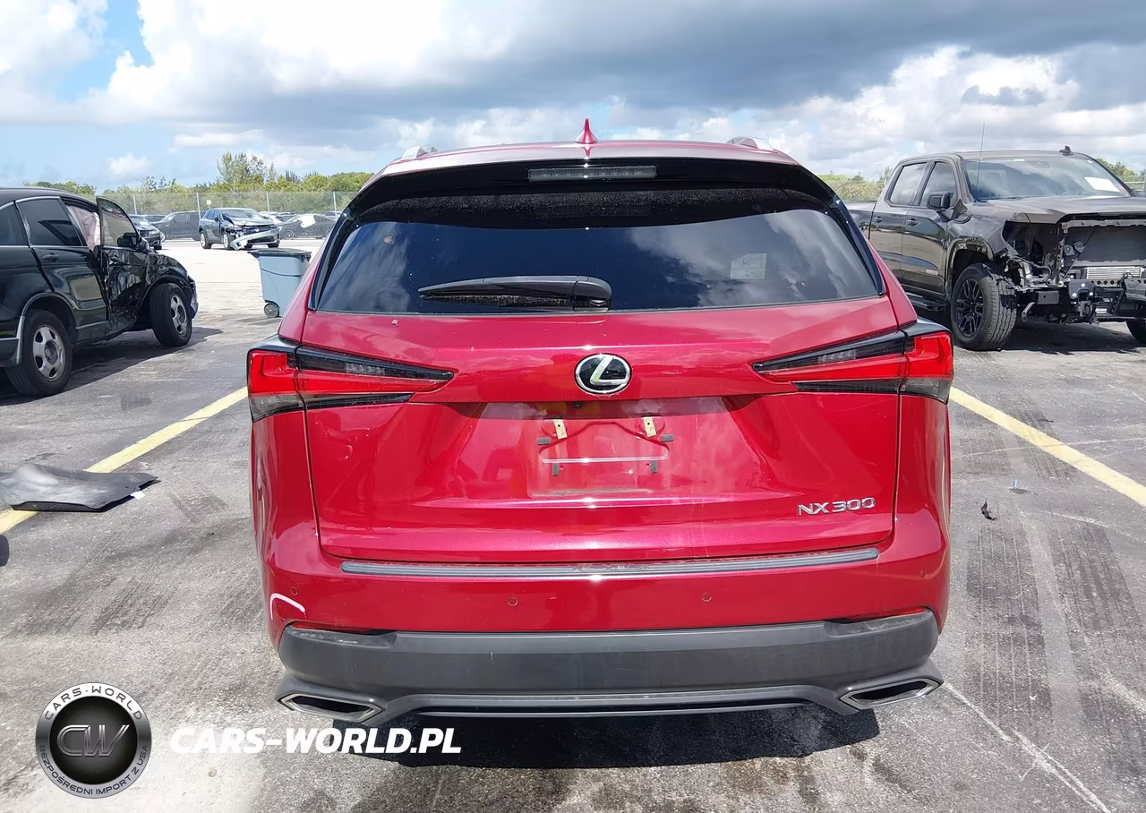 2020 Lexus Nx 300 VIN:JTJDARBZ5L2175719 - 16
