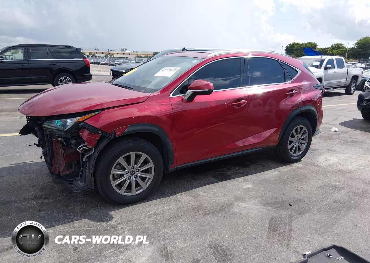 2020 Lexus Nx 300 VIN:JTJDARBZ5L2175719 - 2