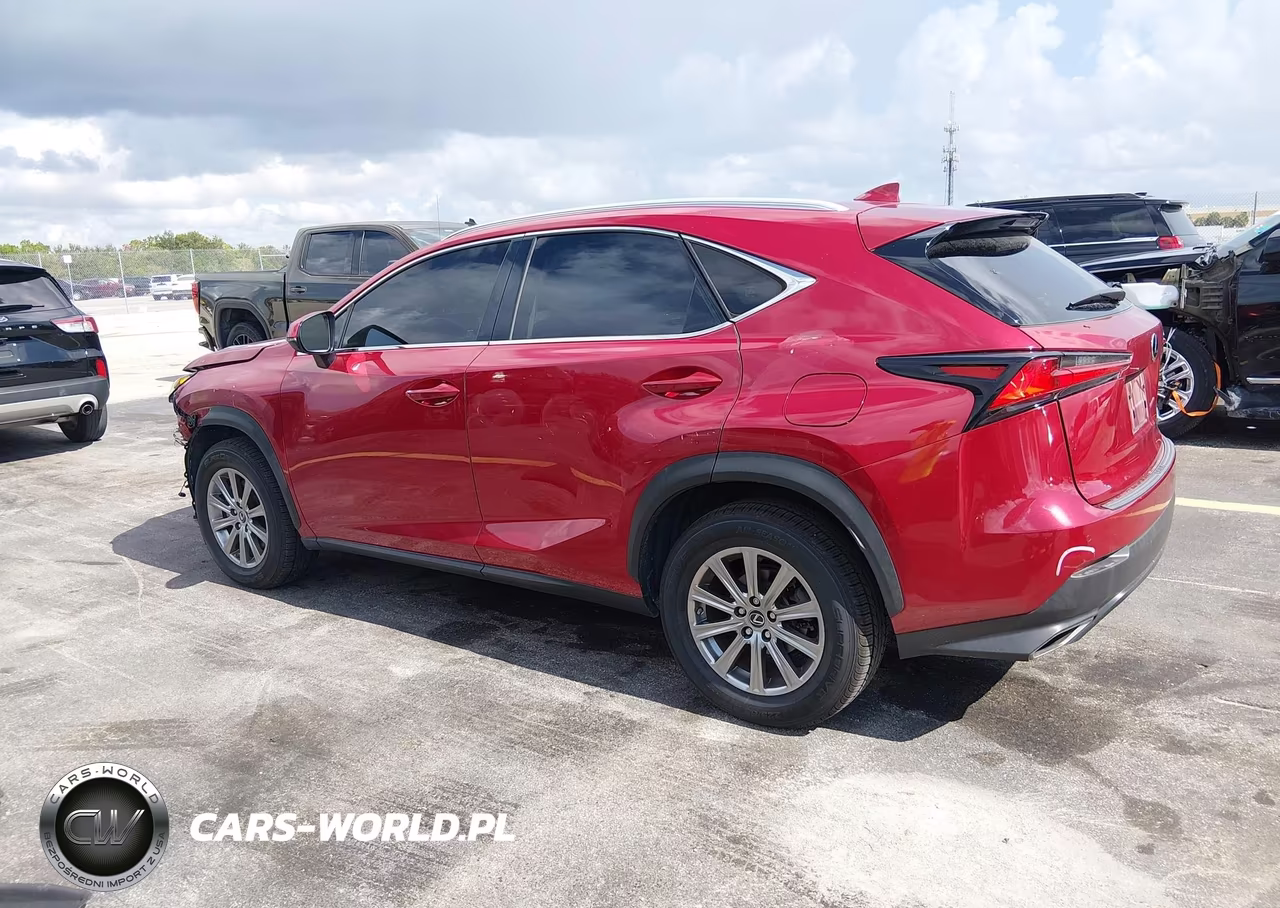 2020 Lexus Nx 300 VIN:JTJDARBZ5L2175719 - 3