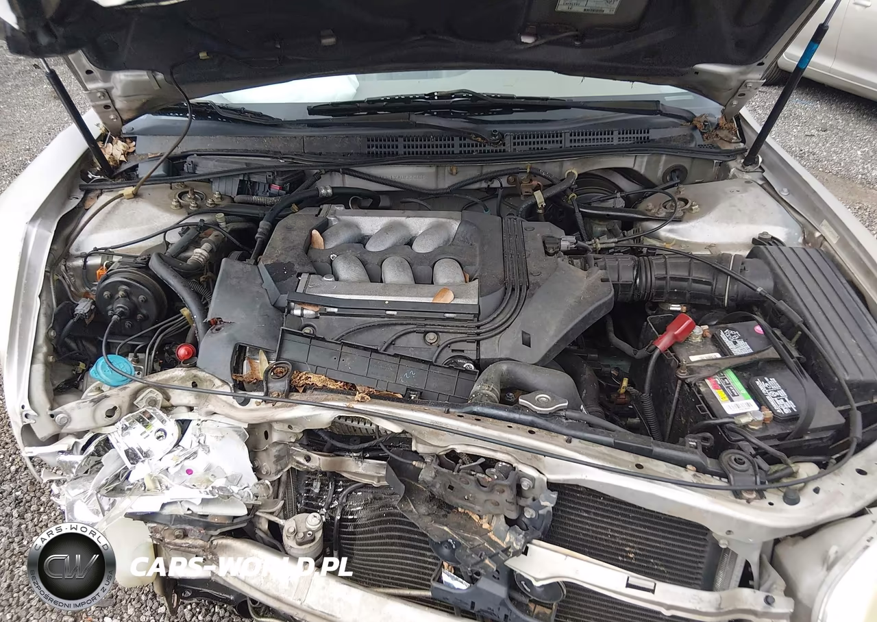 1999 Honda Accord Ex V6 VIN:1HGCG1651XA055533 - 10