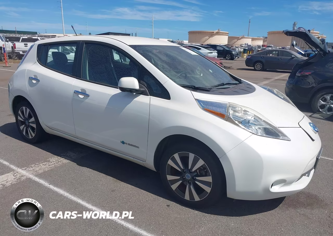 2013 Nissan Leaf Sl VIN:1N4AZ0CP3DC415181 - 1