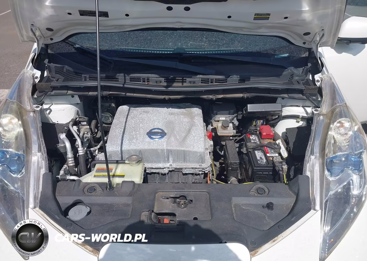 2013 Nissan Leaf Sl VIN:1N4AZ0CP3DC415181 - 10