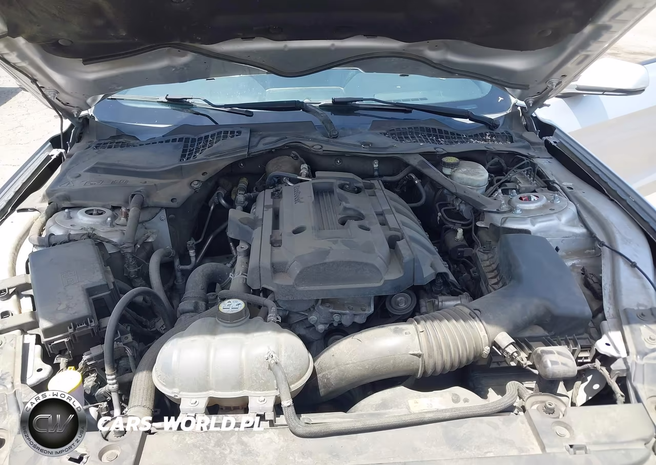 2017 Ford Mustang Ecoboost Premium VIN:1FATP8UH2H5273064 - 10