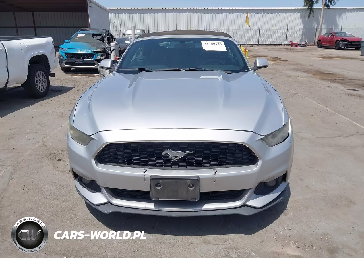 2017 Ford Mustang Ecoboost Premium VIN:1FATP8UH2H5273064 - 12