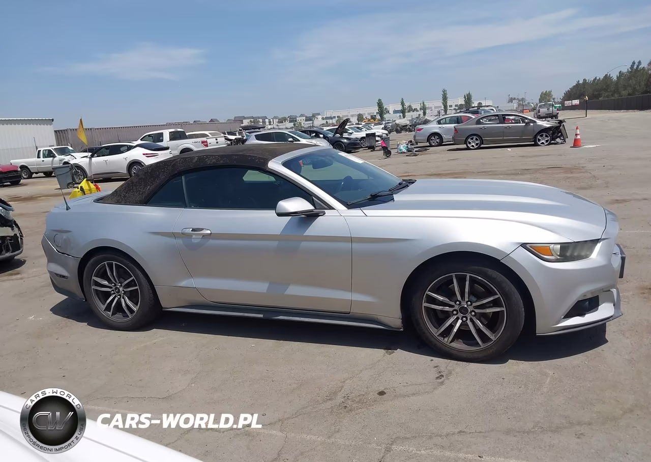 2017 Ford Mustang Ecoboost Premium VIN:1FATP8UH2H5273064 - 13