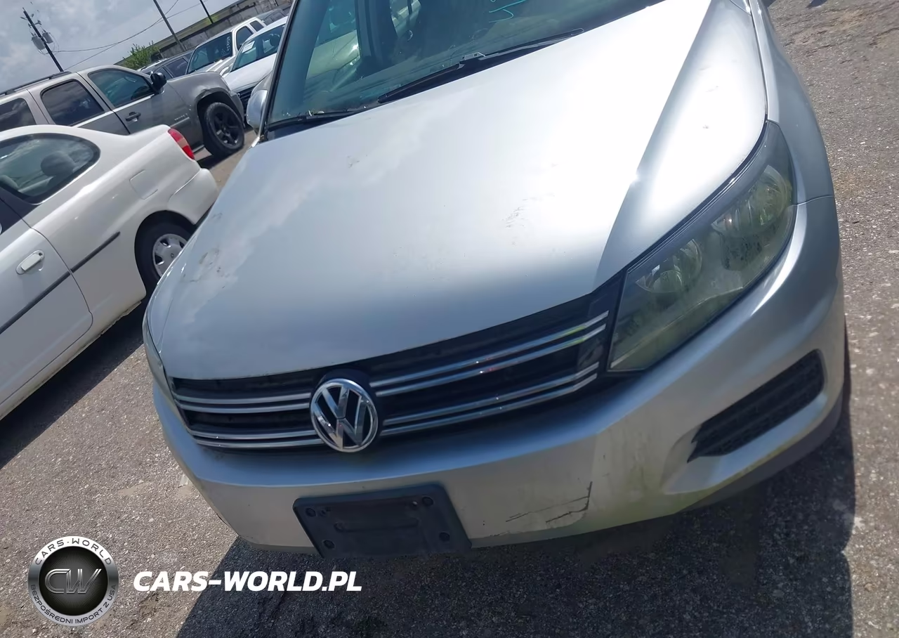2015 Volkswagen Tiguan S VIN:WVGAV7AX3FW557142 - 12