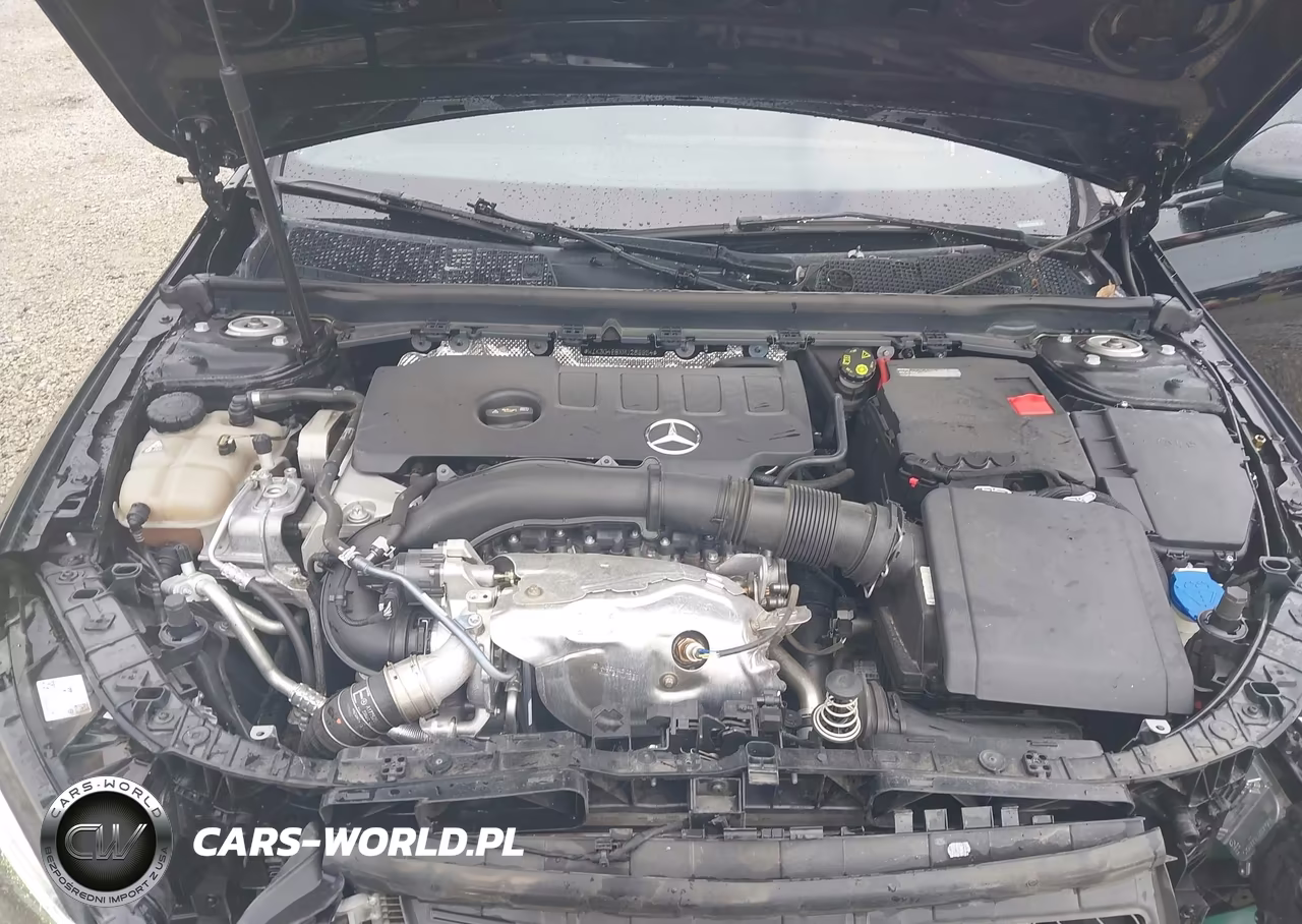 2021 Mercedes-Benz A 220 VIN:W1K3G4EBXMJ289954 - 10