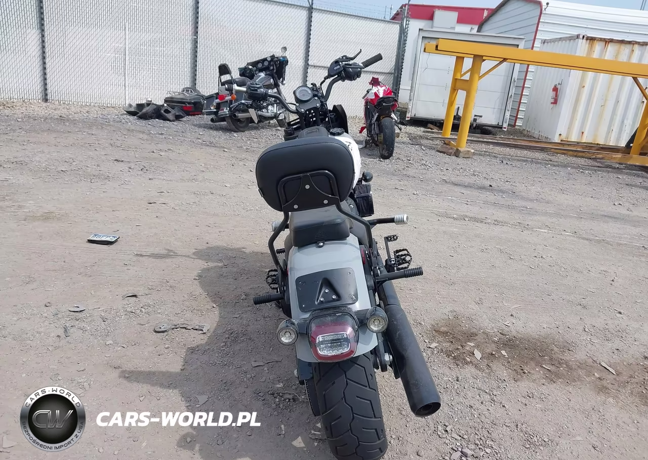 2025 Harley-Davidson Fxlrs VIN:1HD1YWA1XSB039014 - 6