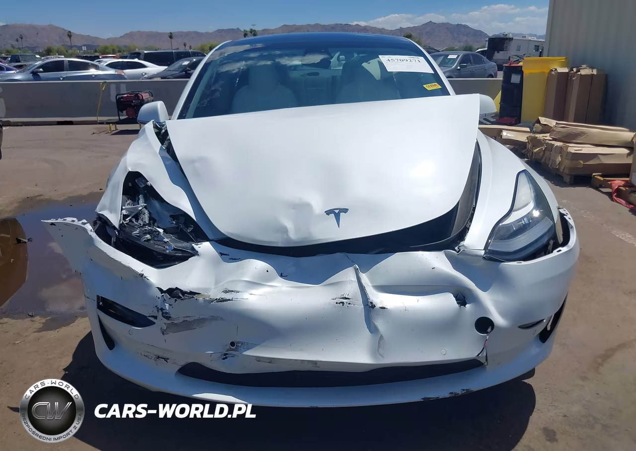 2020 Tesla Model 3 Standard Range Plus Rear-Wheel Drive-Standard Range Rear-Wheel Drive VIN:5YJ3E1EA6LF718180 - 11
