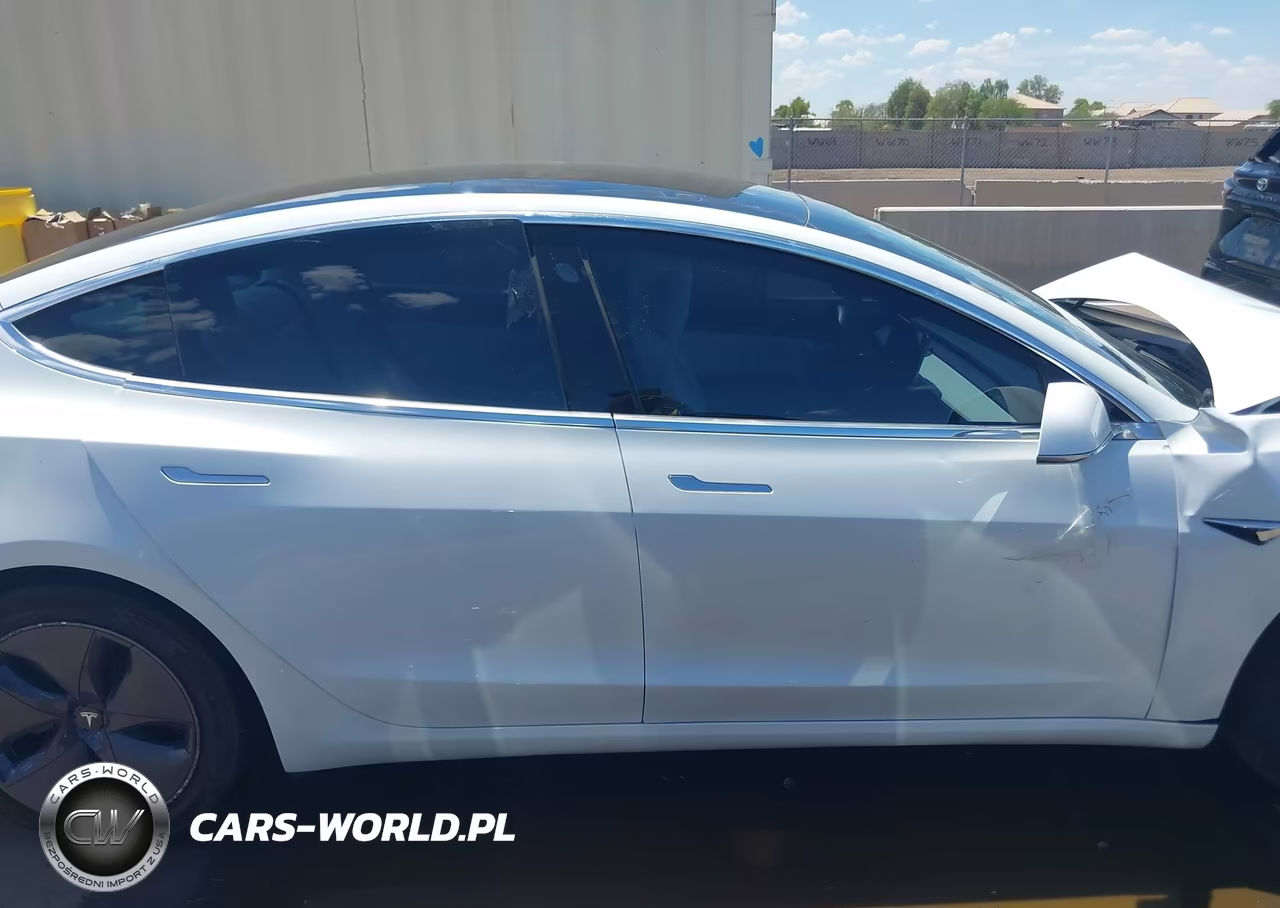 2020 Tesla Model 3 Standard Range Plus Rear-Wheel Drive-Standard Range Rear-Wheel Drive VIN:5YJ3E1EA6LF718180 - 12