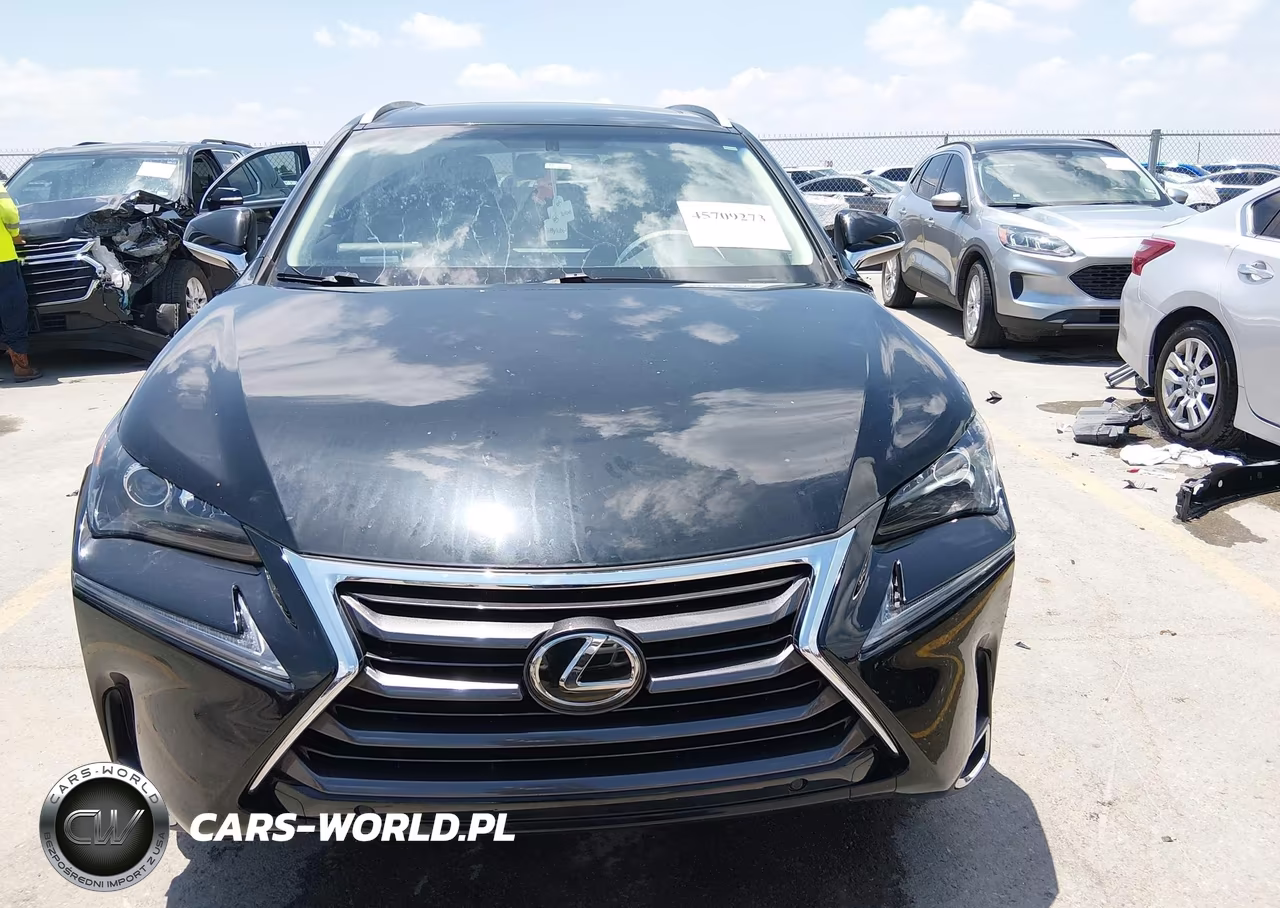 2016 Lexus Nx 200T VIN:JTJBARBZ9G2095241 - 12