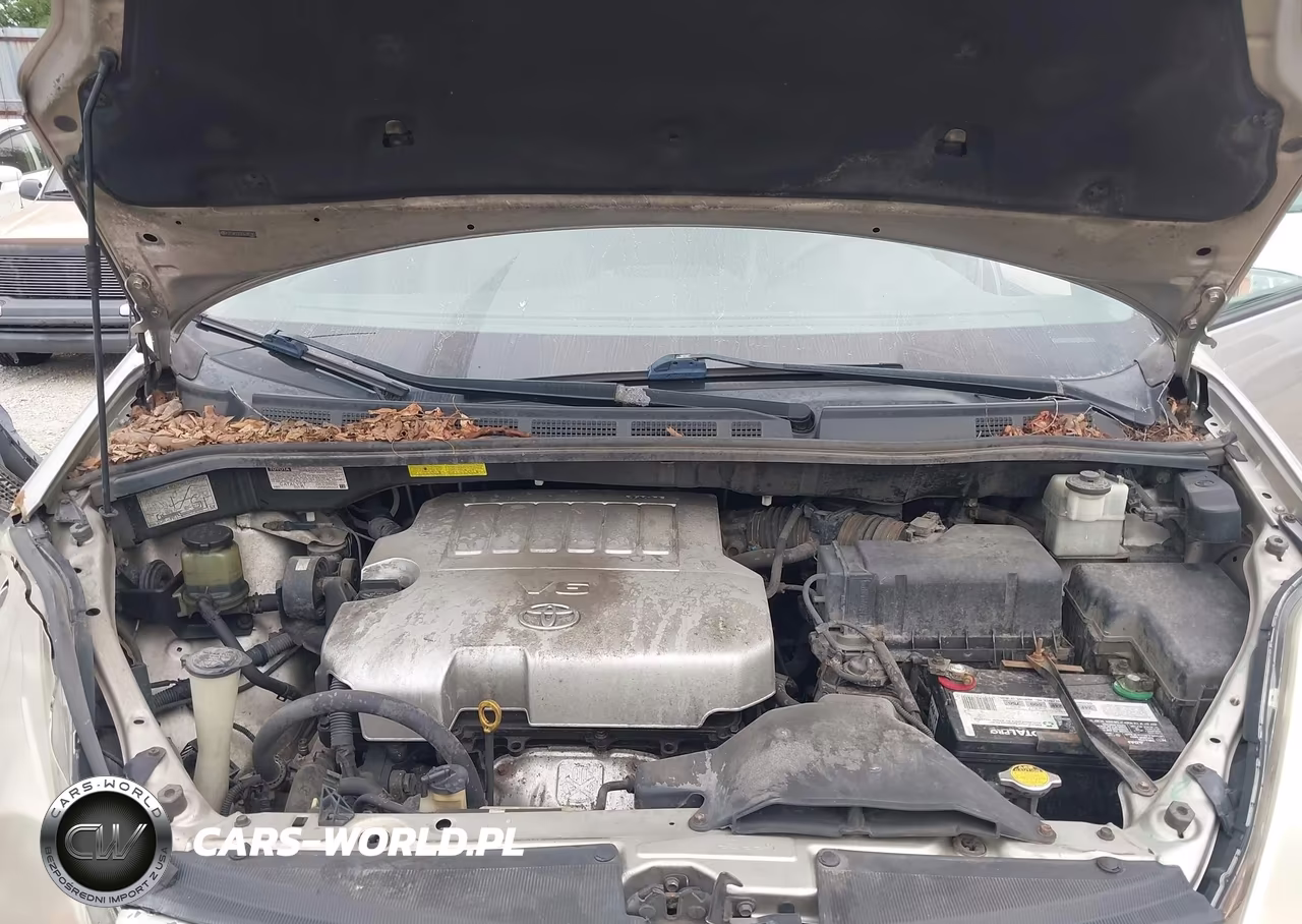 2009 Toyota Sienna Xle VIN:5TDZK22CX9S265345 - 10