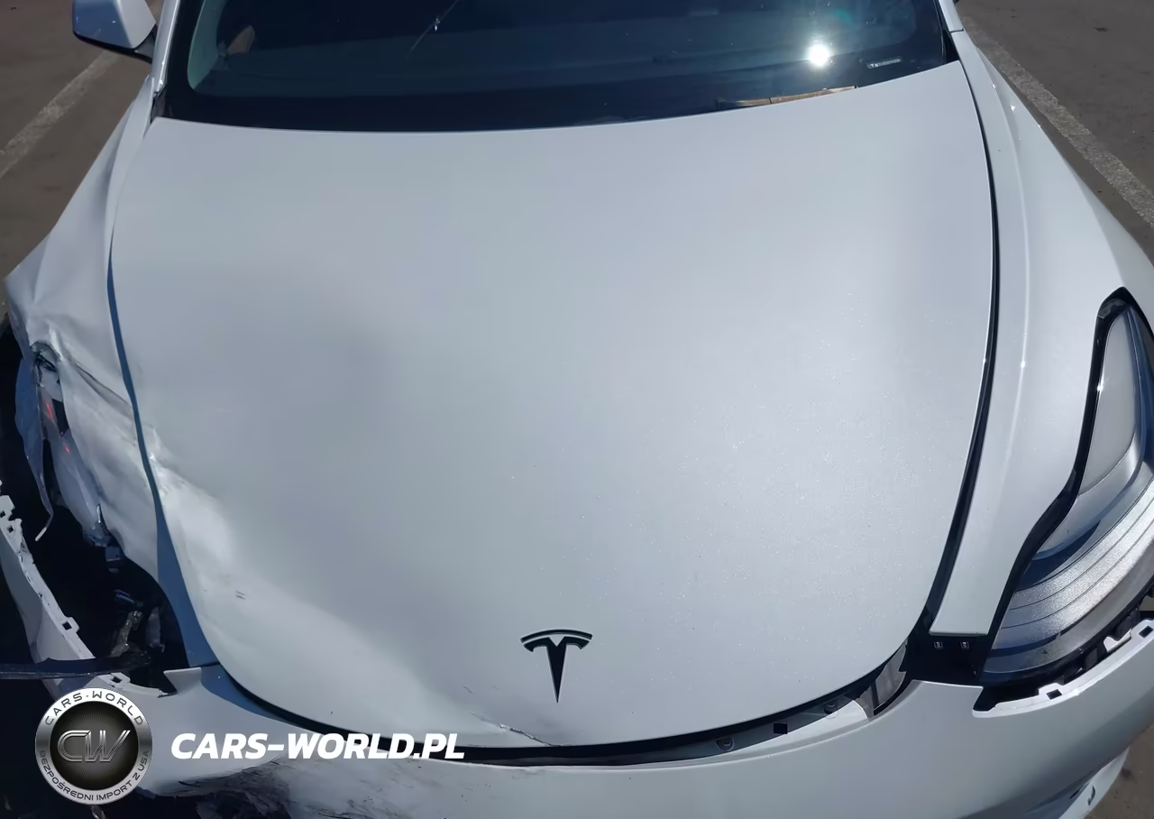 2022 Tesla Model 3 Long Range Dual Motor All-Wheel Drive VIN:5YJ3E1EB7NF124581 - 10