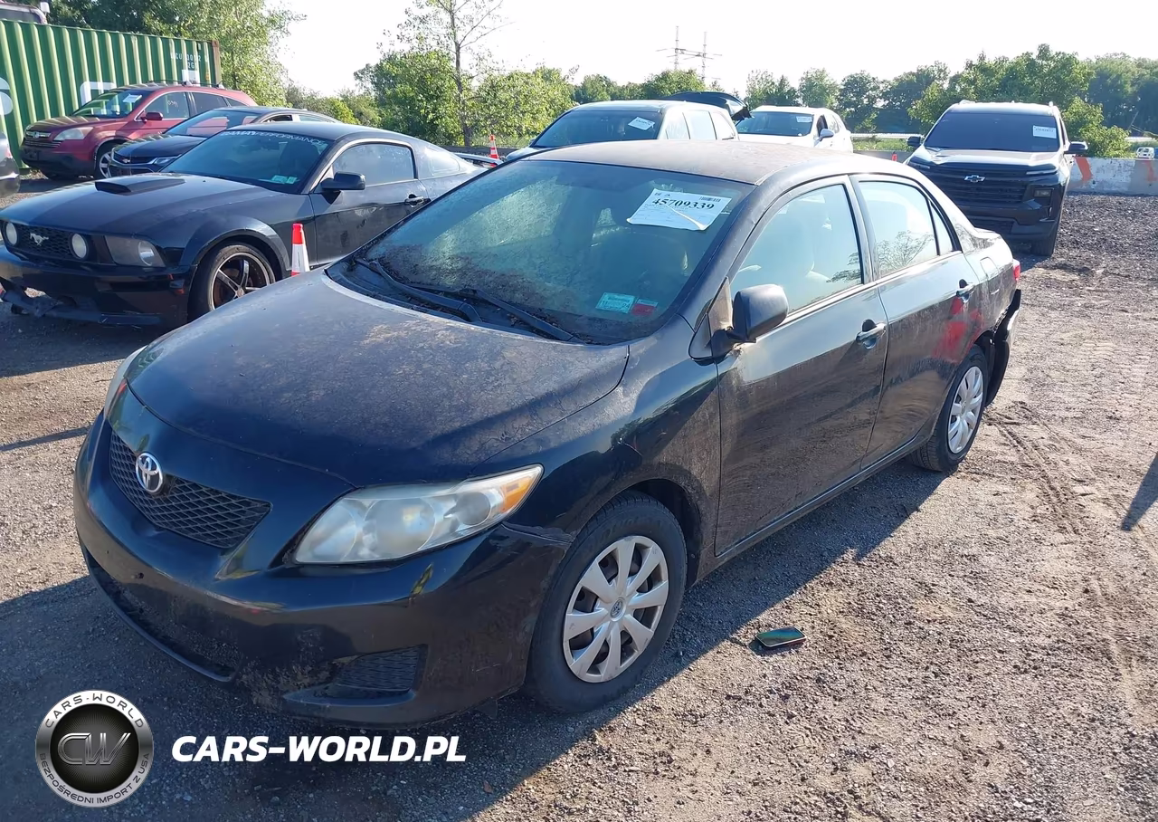 2009 Toyota Corolla VIN:2T1BU40EX9C020355 - 2