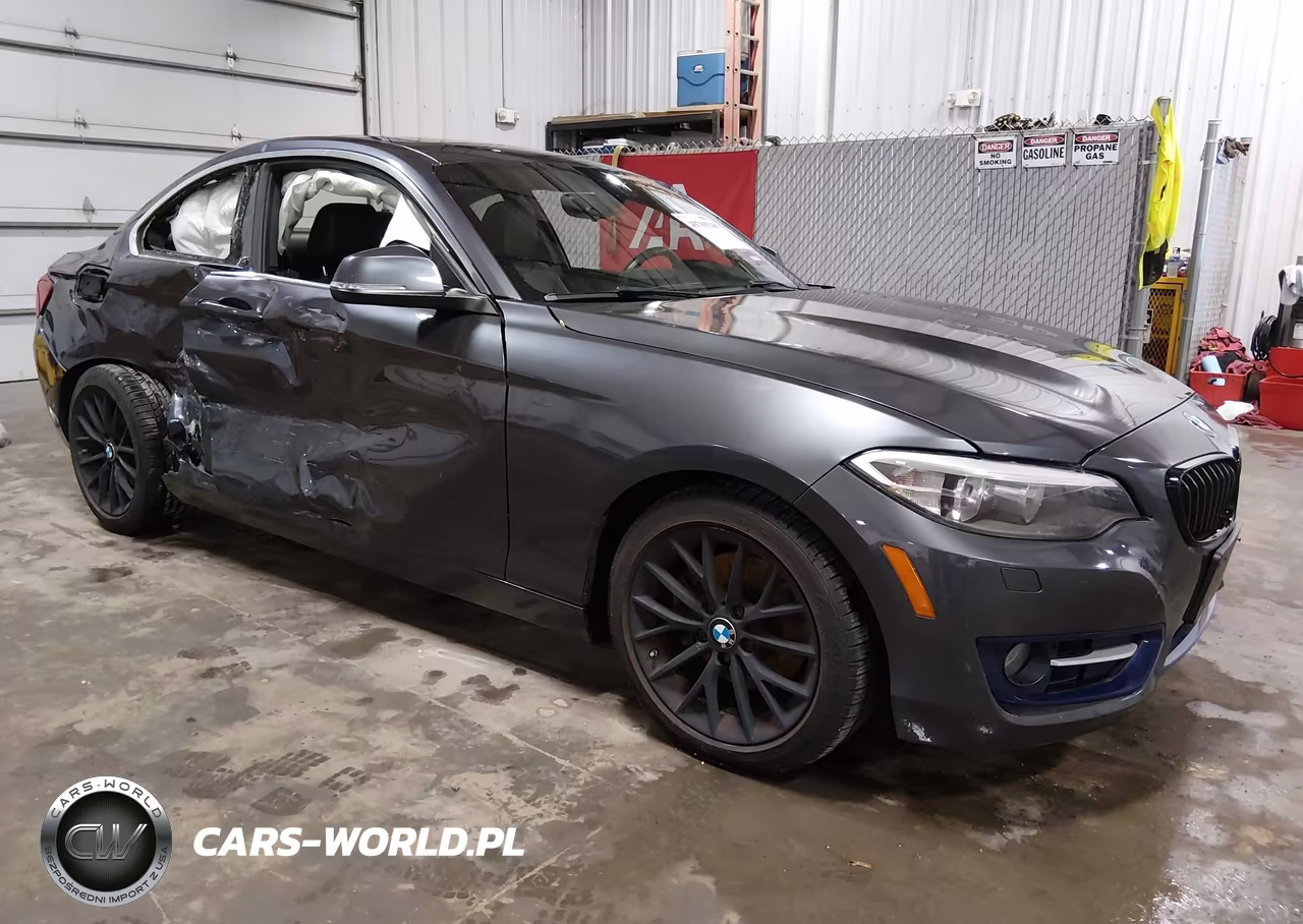 2016 BMW 228I xDrive – zdjęcie 1 z 19